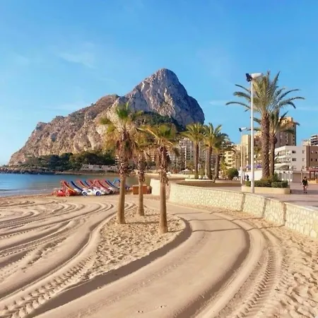 Hipocampos 卡尔佩