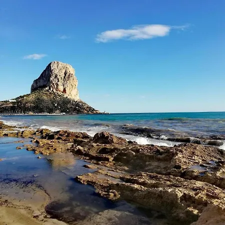 Hipocampos 卡尔佩