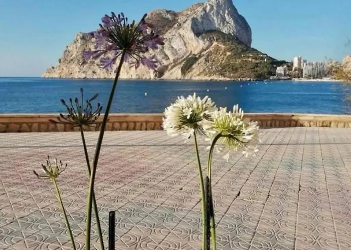 Lejlighed Hipocampos Calpe