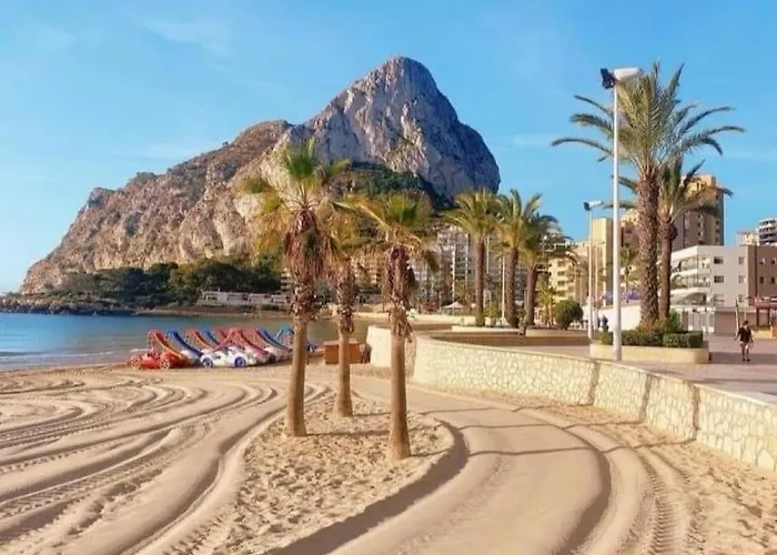 Hipocampos Calpe